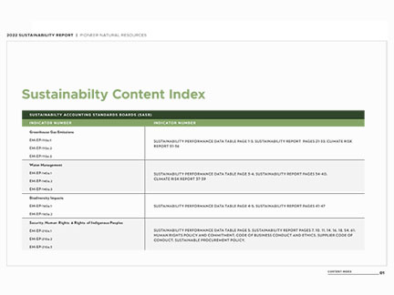 2022 Sustainability Content Index Cover