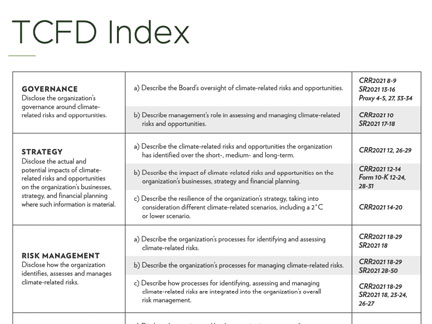 2021 TCFD Index Cover